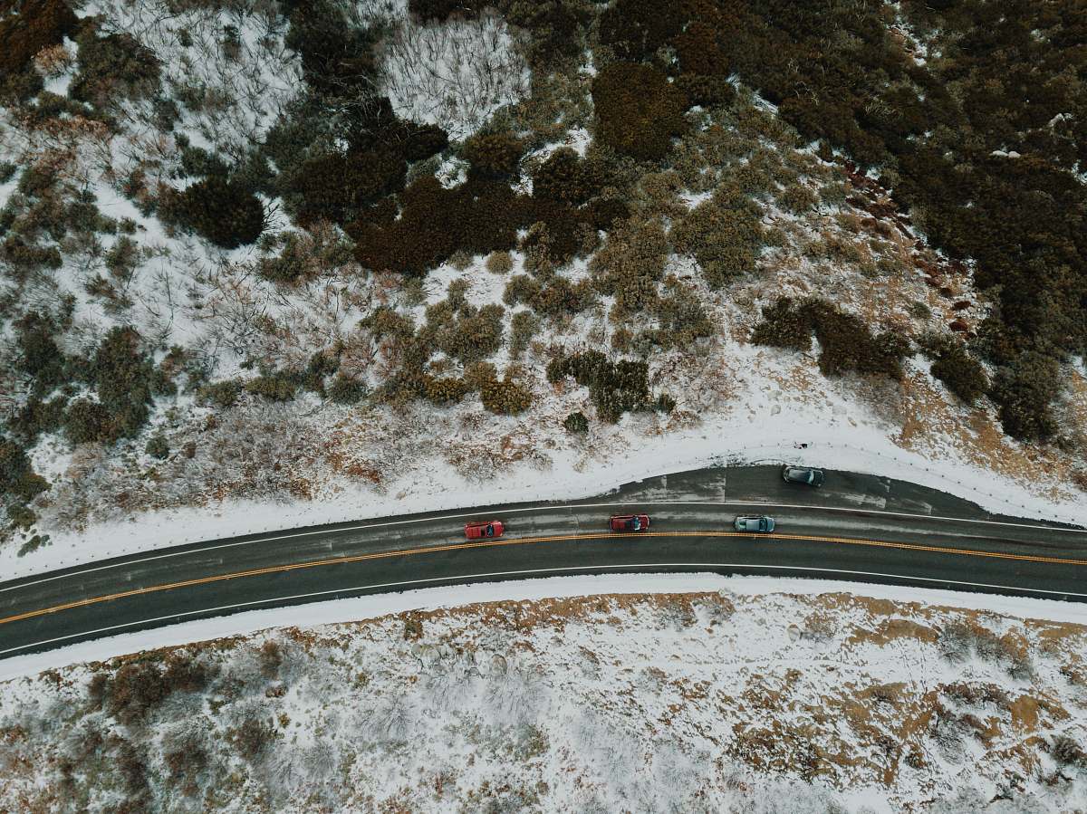 road bird lake arrowhead